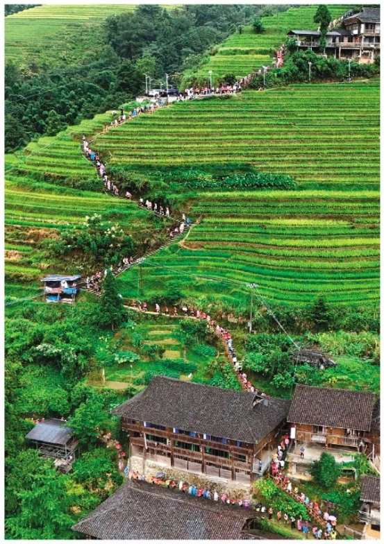 篮球训练术语大全集图片_1